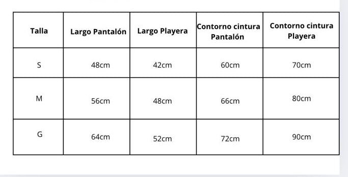 Disfraz de Santa Claus